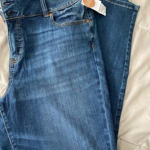 Lane Bryant Jeans